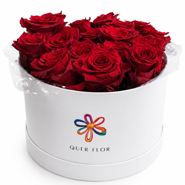 Caixa grande rosas premium